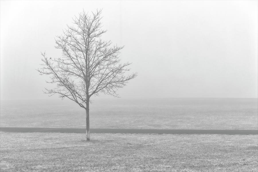 Secaucus Morning Fog #1 Photograph by Susan Candelario