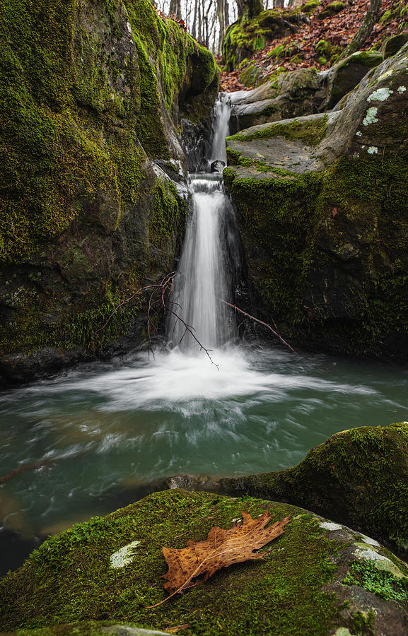 Secret Canyon Crevice Waterfall and Leaf #1 Photograph by Grant Twiss Secret Canyon Crevice Waterfall and Leaf #1 Photograph by Grant Twiss