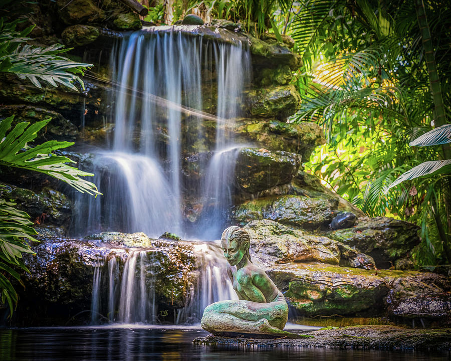 Selby Garden Waterfall #1 Photograph by Joe Myeress