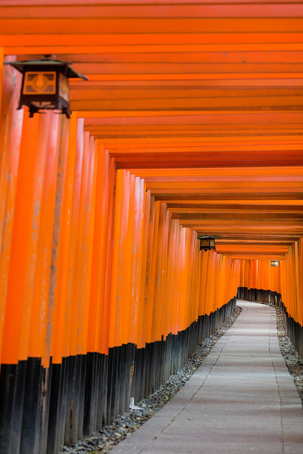 Senbon Torii Fushimi Inari Taisha Photograph By David L Moore