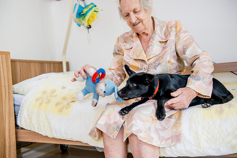 Senior Woman Playing With Her Dog In The Retirement Home #1 Photograph by CasarsaGuru