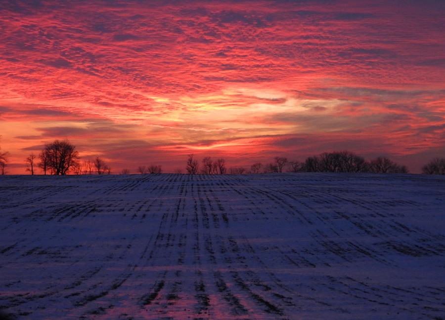 Sensational Sunset #1 Photograph by Living Color Photography Lorraine Lynch