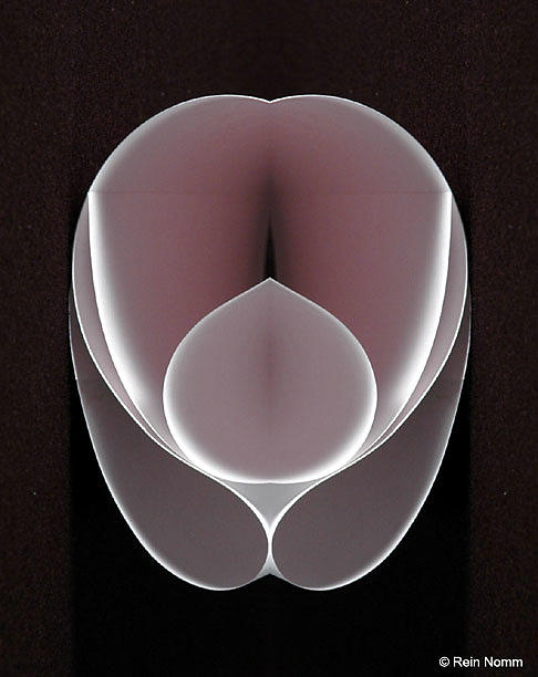 Sensual Shapes #1 Sculpture by Rein Nomm