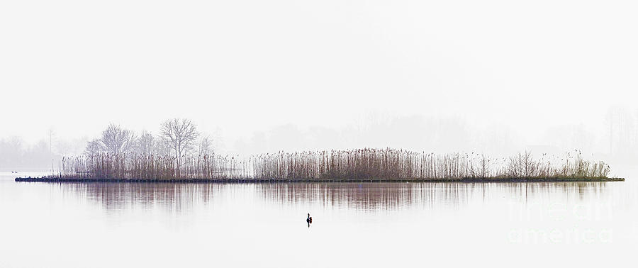 Serenity #1 Photograph by Casper Cammeraat