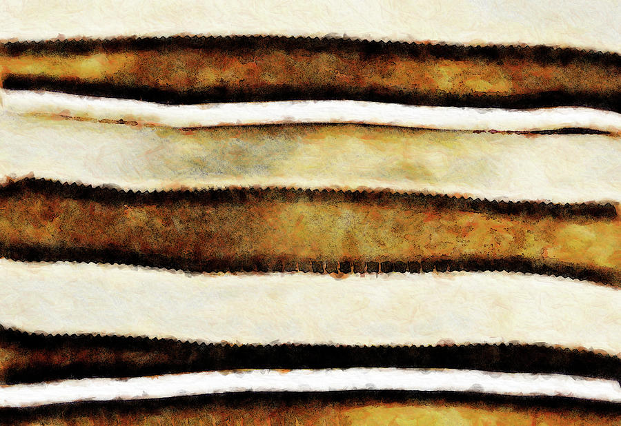 Serrated Strips #1 Digital Art by Leslie Montgomery