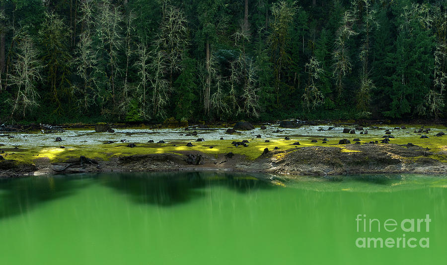 Shades Of The Pacific Northwest #1 Photograph by Nick Boren
