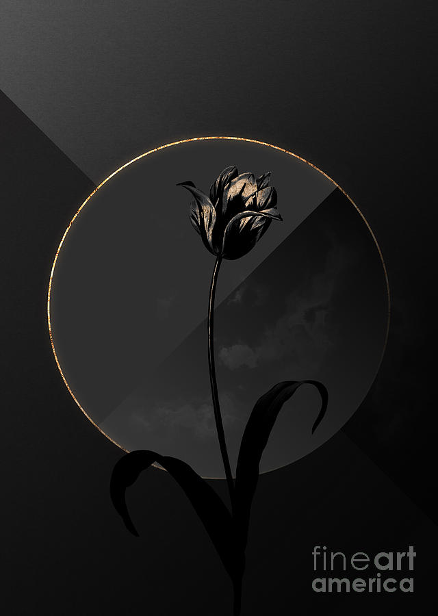 Shadowy Black Didiers Tulip Botanical Art with Gold #1 Mixed Media by Holy Rock Design