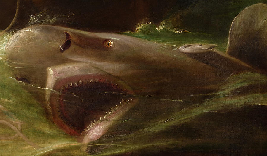 Shark Painting by John Singleton Copley - Fine Art America