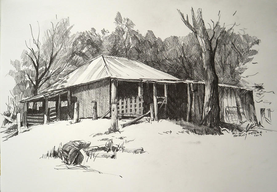 Shearing Shed #1 Painting by Shirley Peters