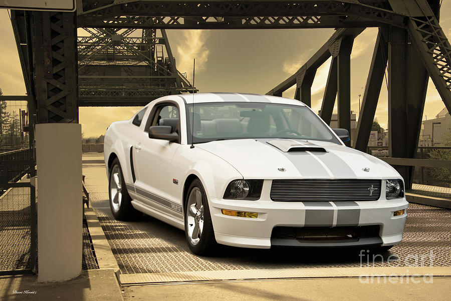 Shelby Mustang Gt Photograph