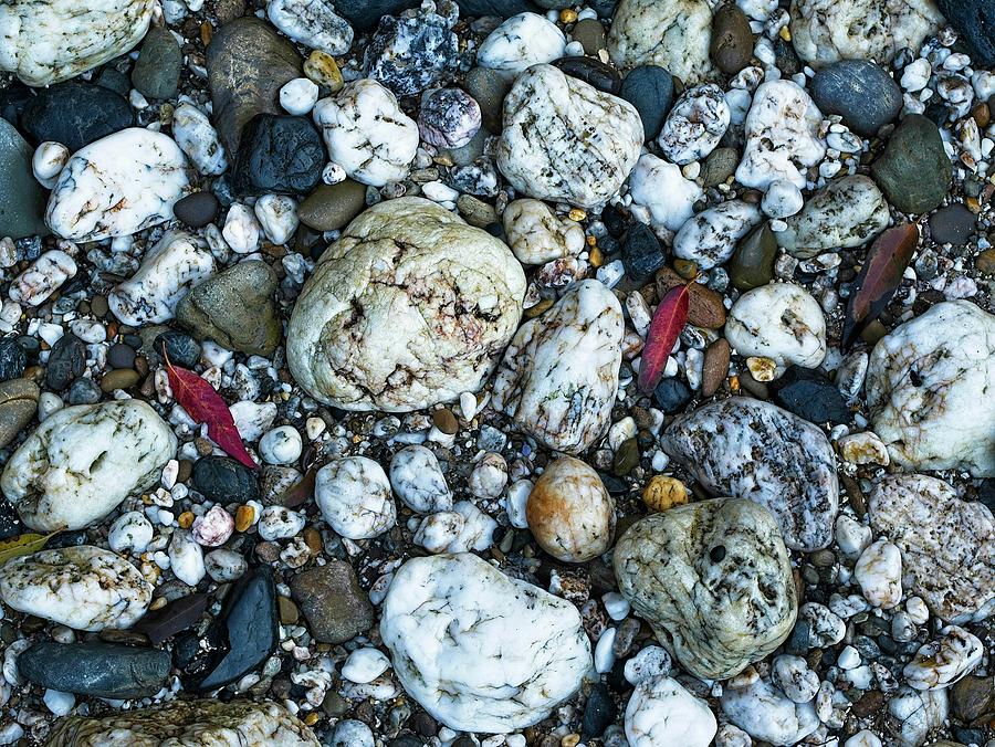 Shells and Rocks 2, Batehaven, NSW, Australia #1 Photograph by Steven Ralser