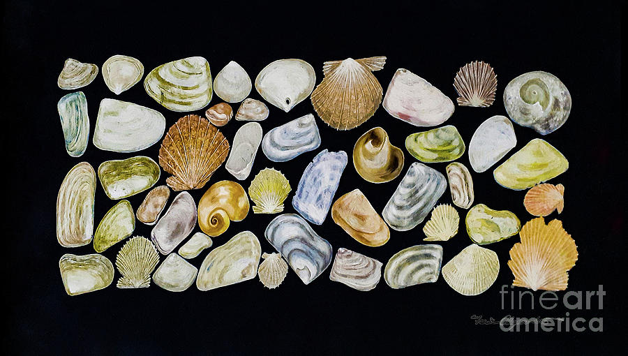 Shells #2 Painting by Fei A