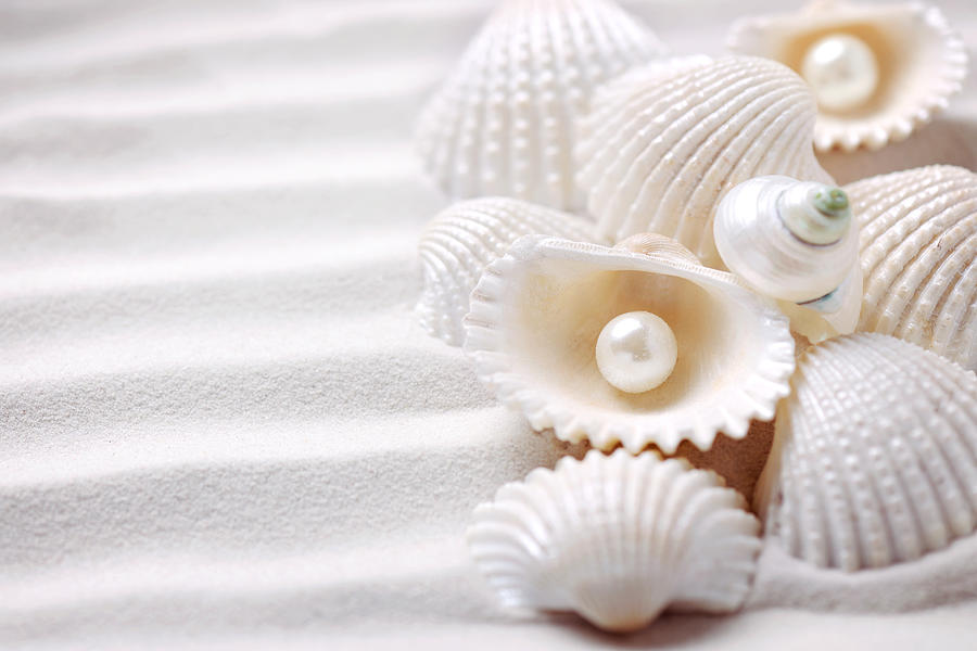 Shells with pearls #1 Photograph by Moncherie