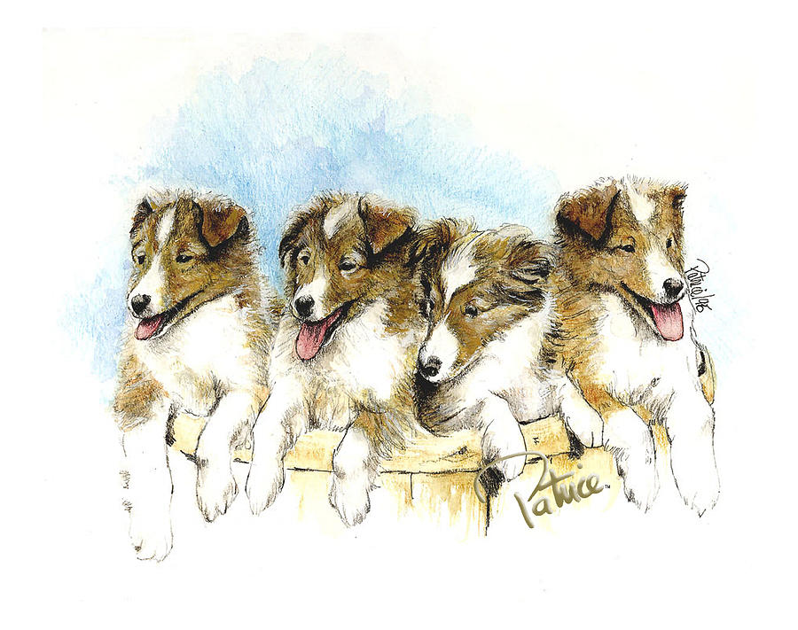 Sheltie Pups #2 Painting by Patrice Clarkson