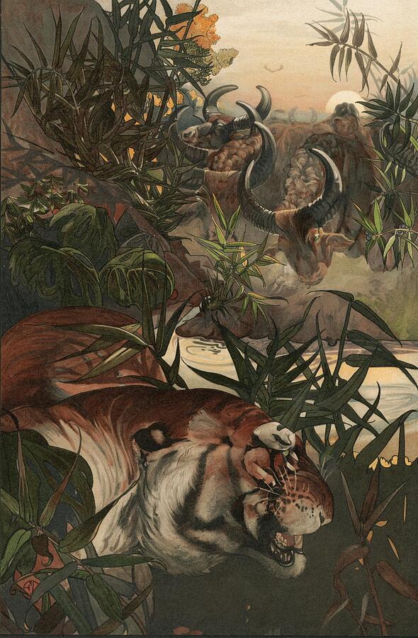 Jungle Painting - Shere Khan In Jungle  #1 by Maurice And Edward Detmold