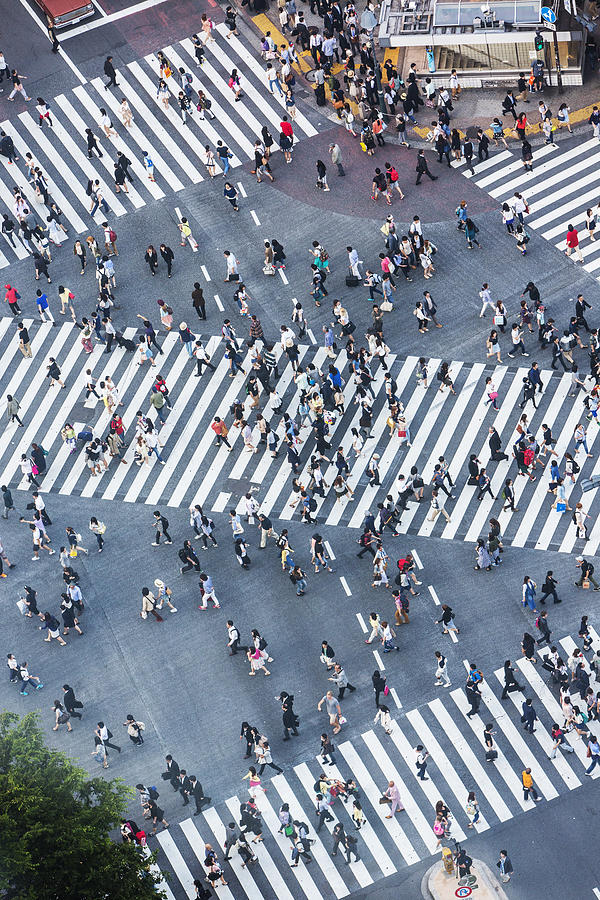Shibuya Crossing Aerial #1 Photograph by Davidf