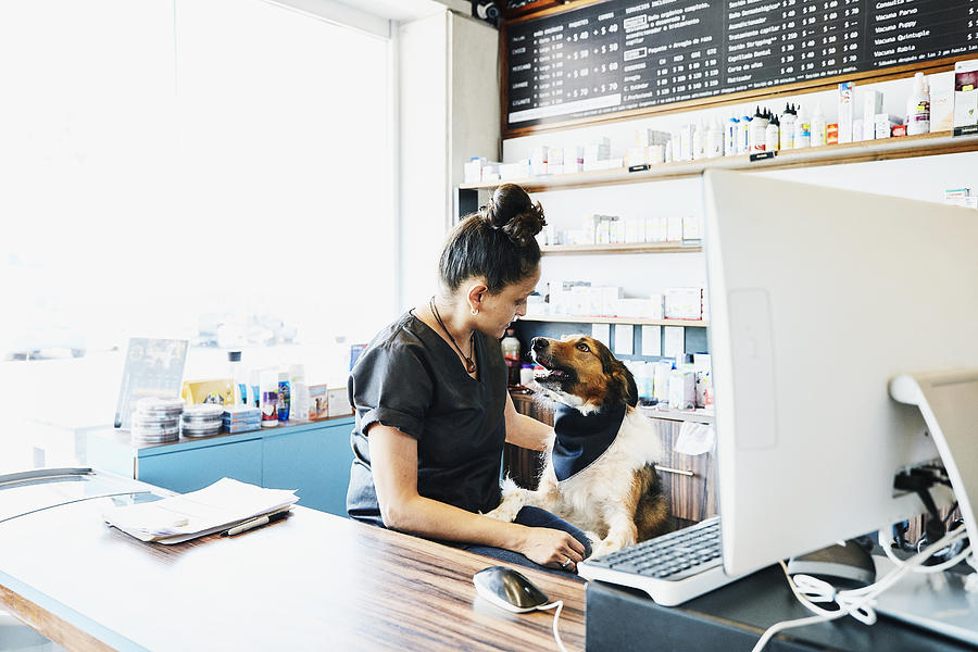 Shop owner at pet store petting dog behind counter #1 Photograph by Thomas Barwick