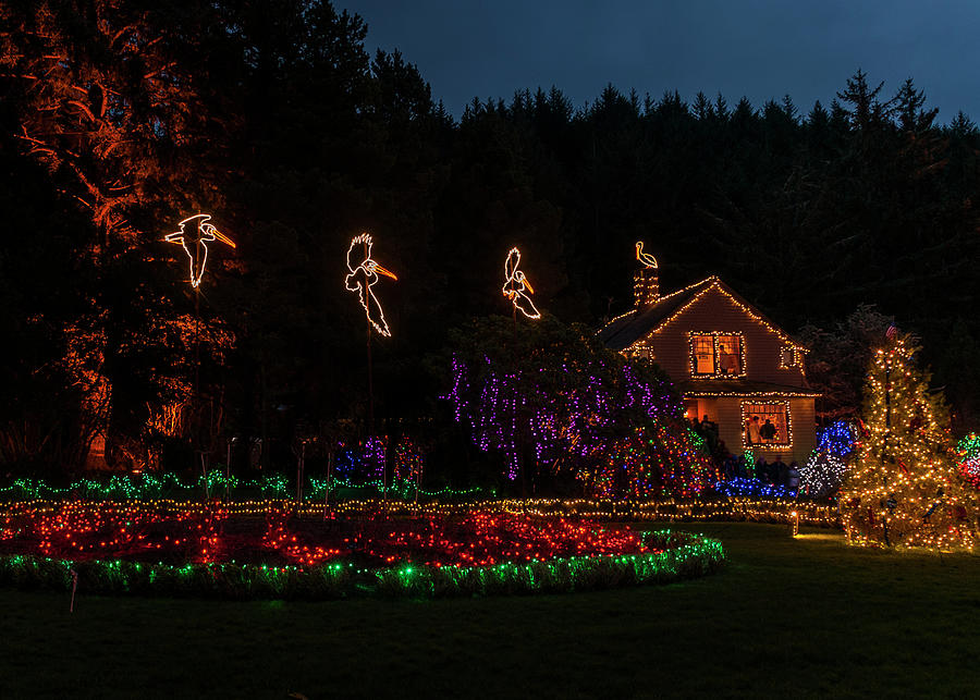 Shore Acres Lights by Robert Potts Shore Acres Lights by Robert Potts