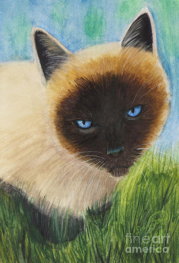 Siamese Cat #2 Painting by Dorothy Lee