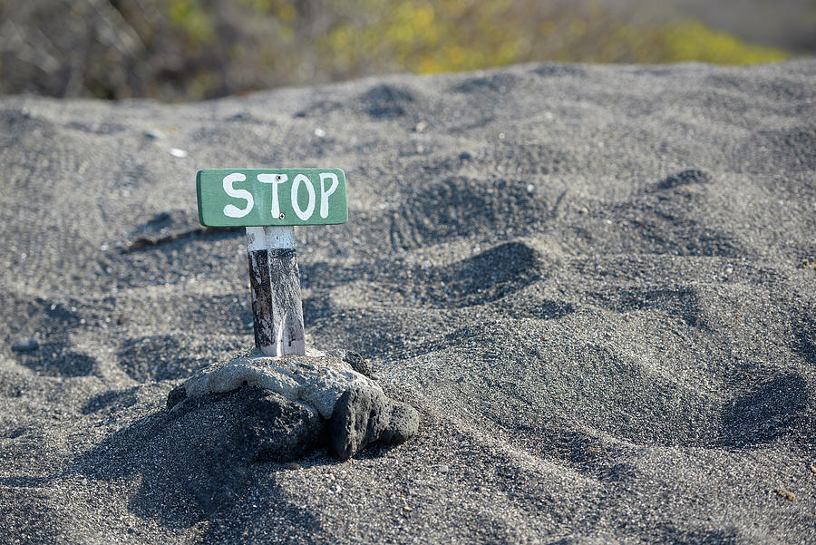 Sign to keep people off Galapagos green turtle nesting areas, Urbina Bay, Isabela Island, Galapagos Islands, Ecuador Photograph by Kevin Oke