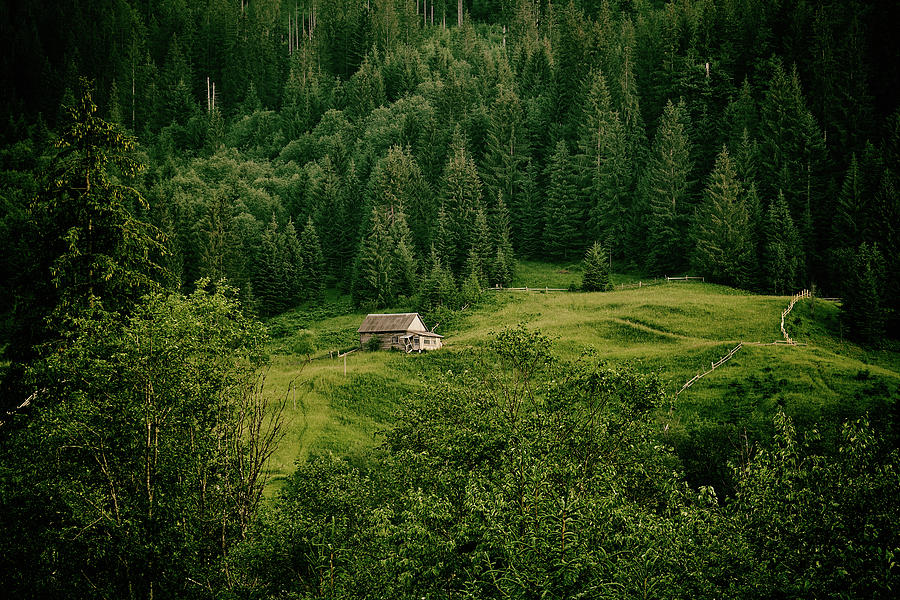 Silent Solitude Photograph by Andrii Maykovskyi