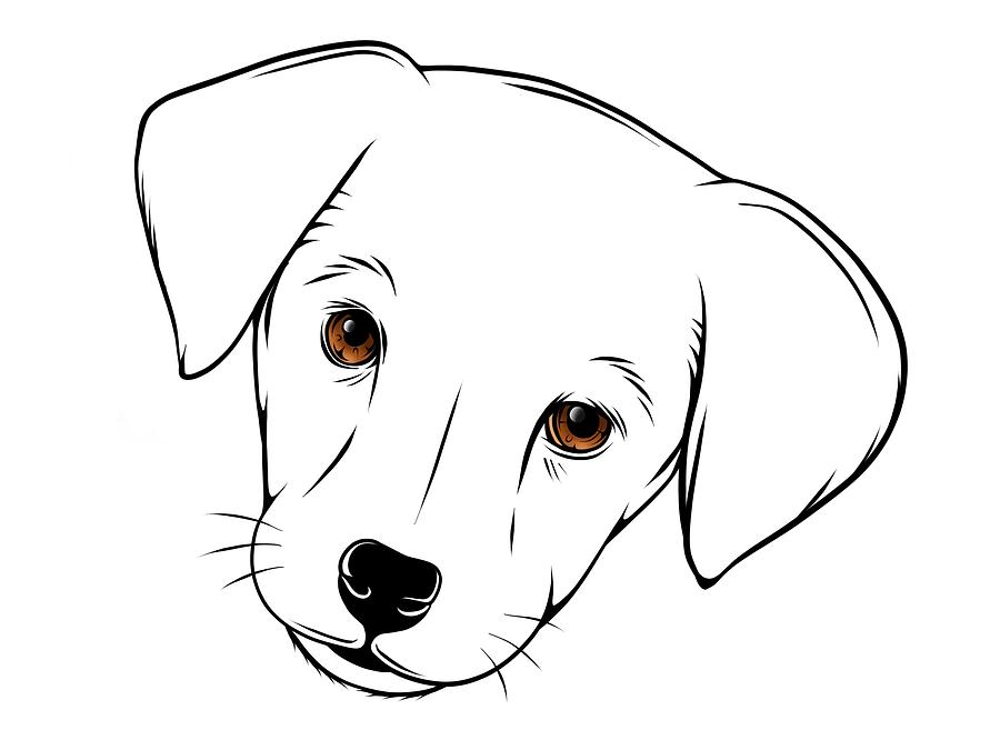 Silhouette simple head baby dog. illustration face Digital Art by Dean