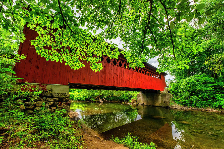 Silk Covered Bridge #1 Photograph by Andy Crawford