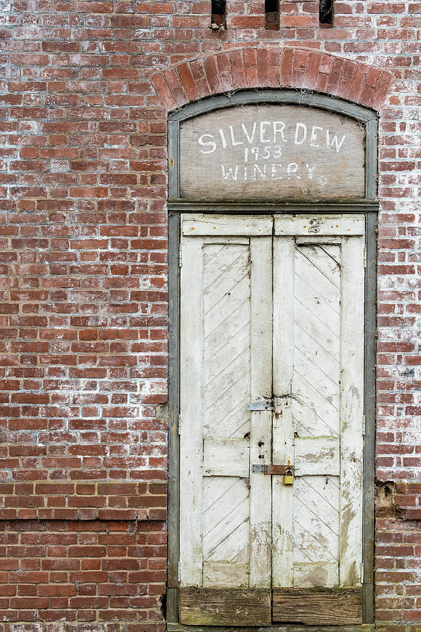 Silver Dew Winery, Daufuskie Island, South Carolina #1 Photograph by Dawna Moore Photography