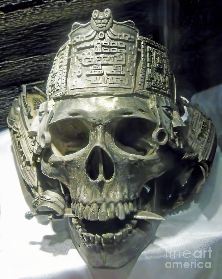 Silver Skull Photograph by D Hackett