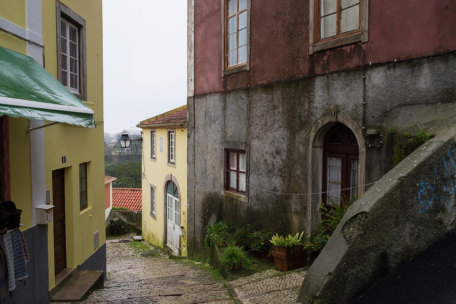 Sintra Portugal #1 Photograph by David L Moore