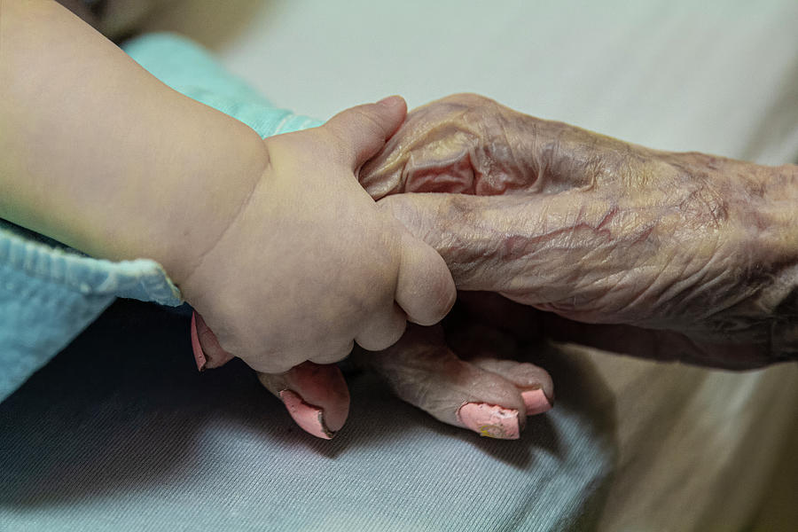 Hands Photograph - Six Month Old and One Hundred and Four Year Old #1 by Robert Ullmann