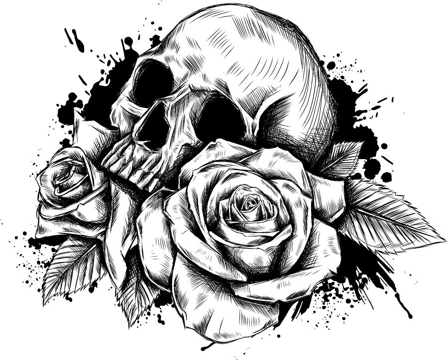 skull drawing tumblr roses