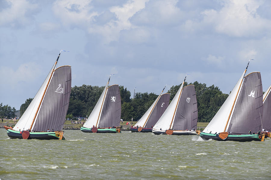 Skutsje classic sailboats sailing on the IJsselmeer near Lemmer in Frisia during the Skutsjesilen #1 Photograph by Sjo