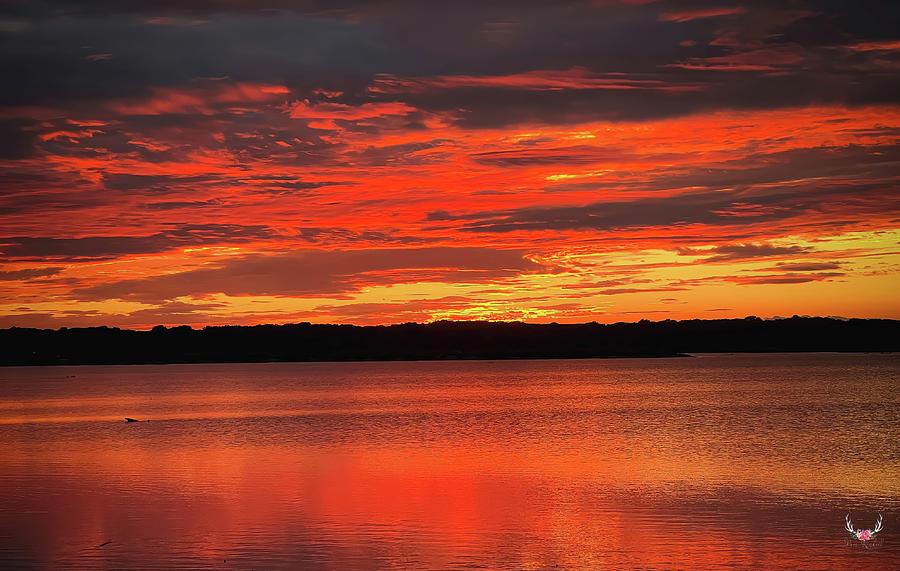 Sky on Fire #1 Photograph by Pam Rendall