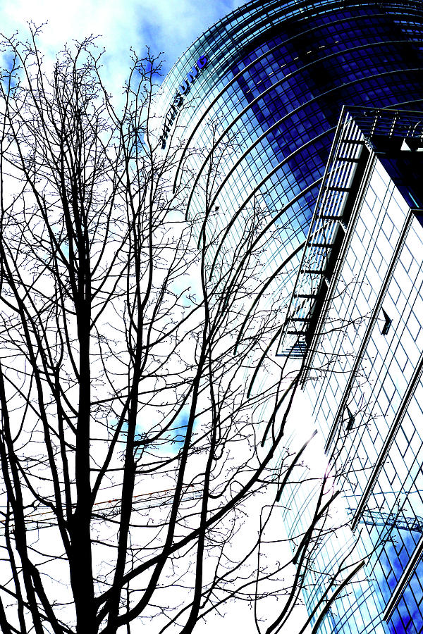 Skyscraper And Tree In Warsaw, Poland #1 Photograph by John Siest