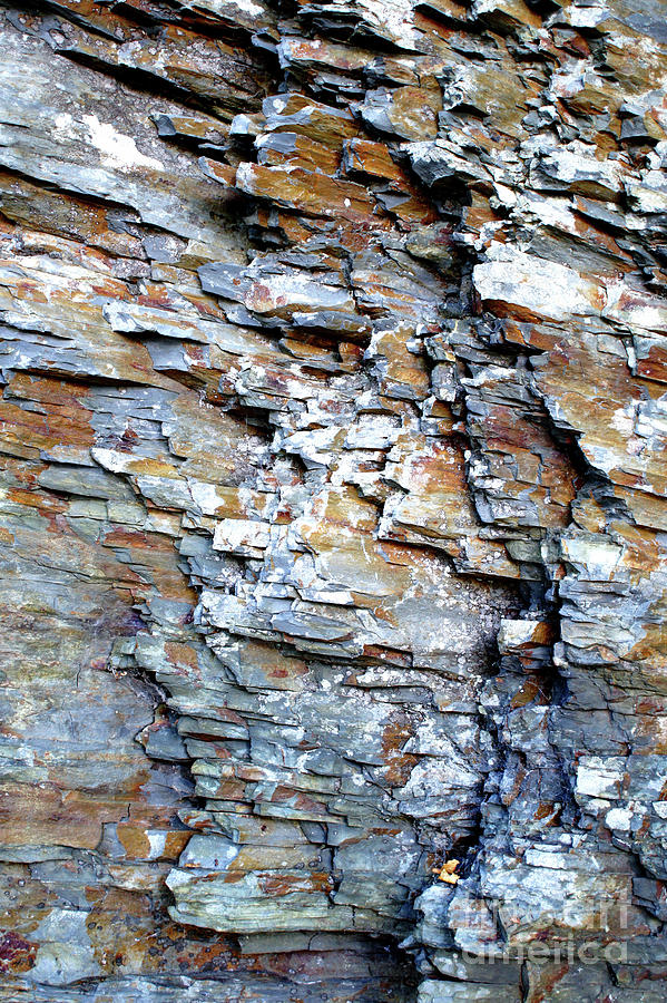 Slate rock texture Photograph by Tom Gowanlock Fine Art America