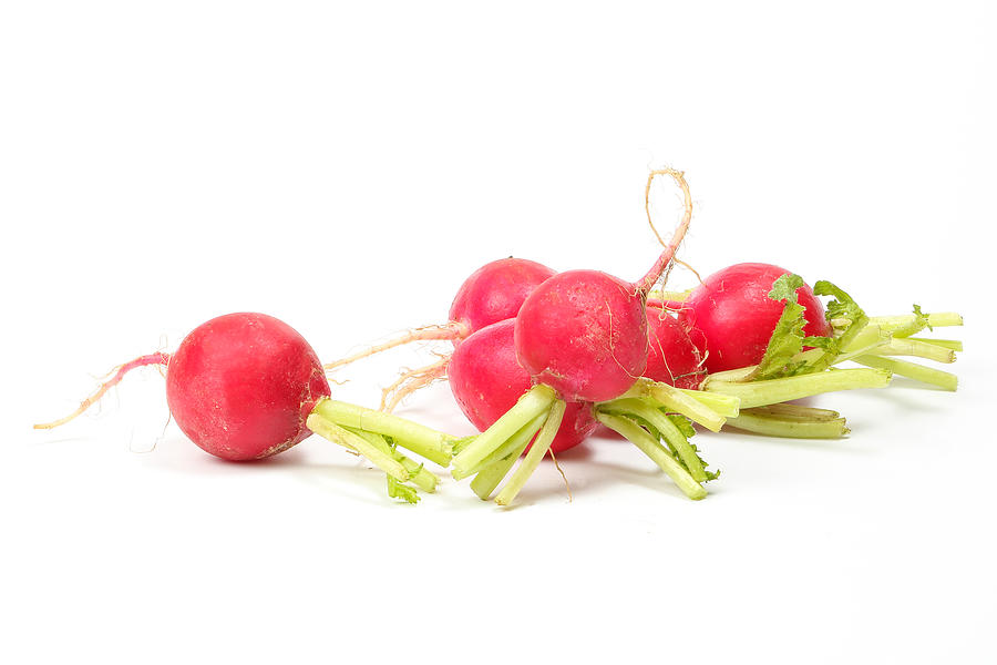 Small red radish #1 Photograph by Oqba