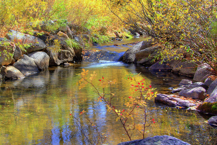 Small Stream-Near Aspen Colorado Photograph by William Reagan | Fine ...