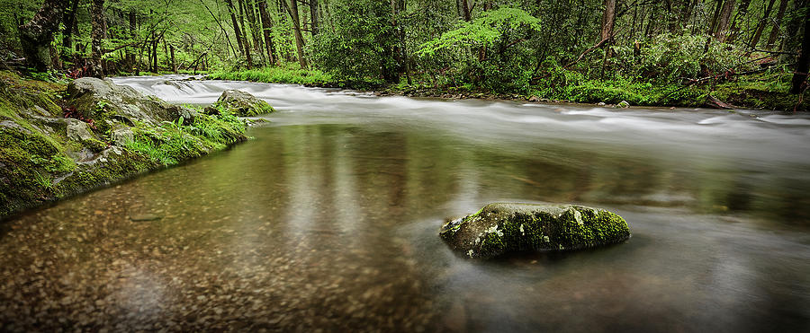 Smoky Mountains River #1 Photograph by Jon Glaser