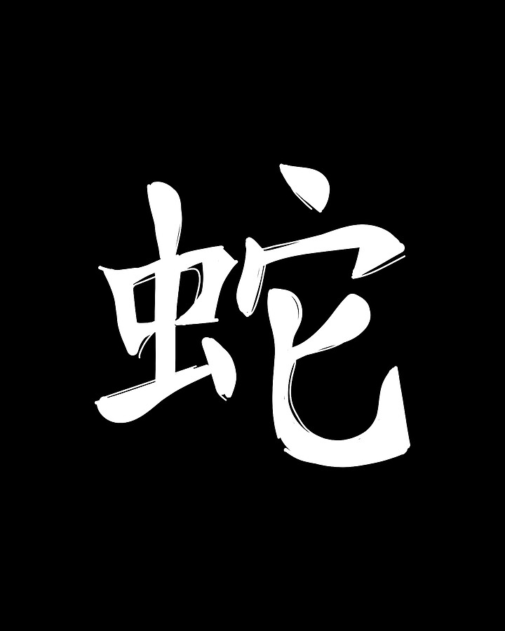 Snake Chinese Zodiac Digital Art by Manuel Schmucker Fine Art America