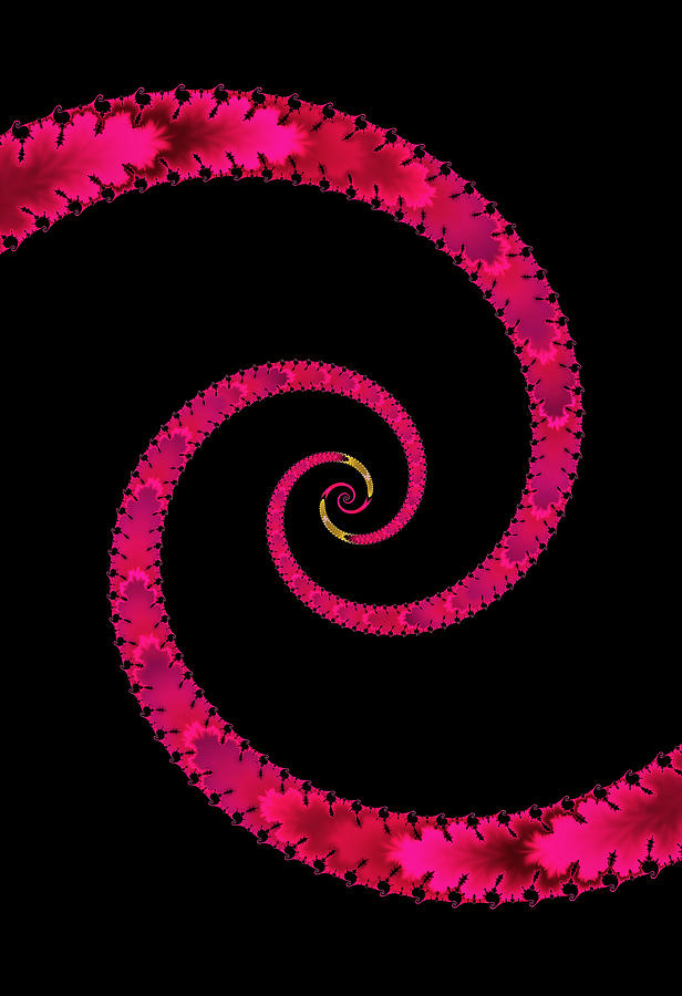 Snake Spiral #1 Digital Art by Vickie Fiveash