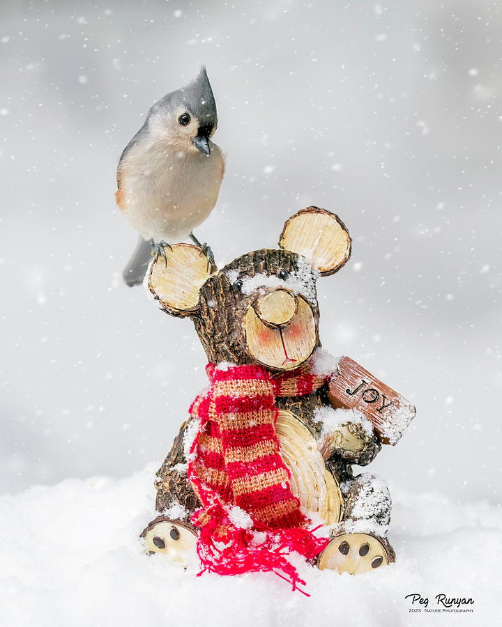 Snow Buddies #1 Photograph by Peg Runyan
