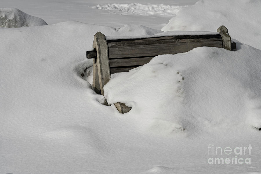 Snow Covered Bench #2 Photograph by JT Lewis