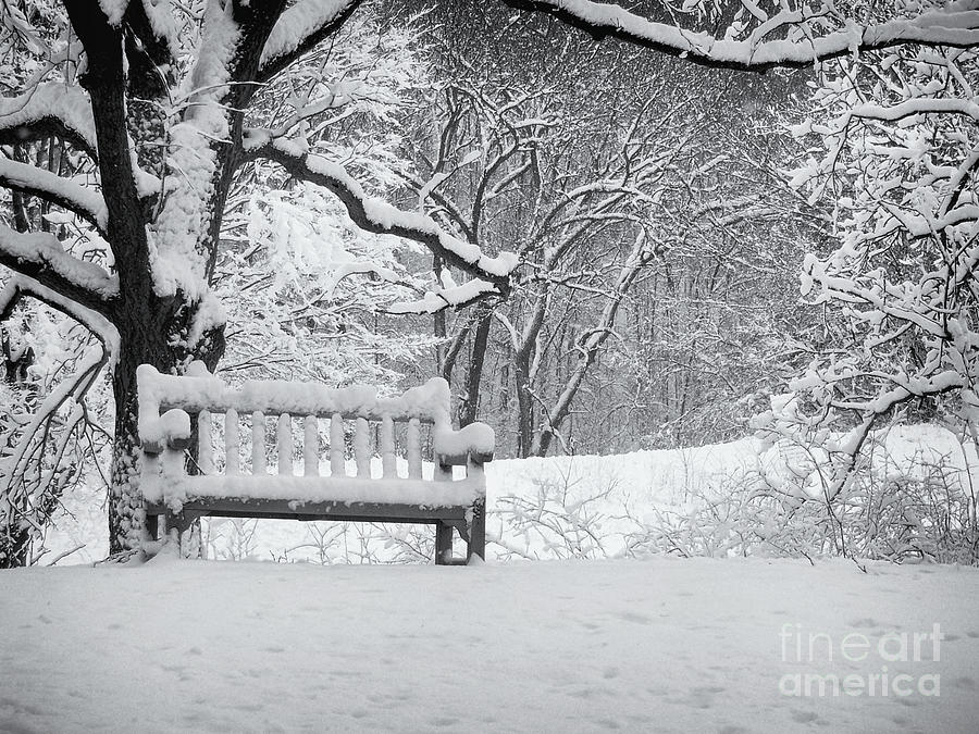Snow Covered Bench #1 Photograph by Phil Perkins