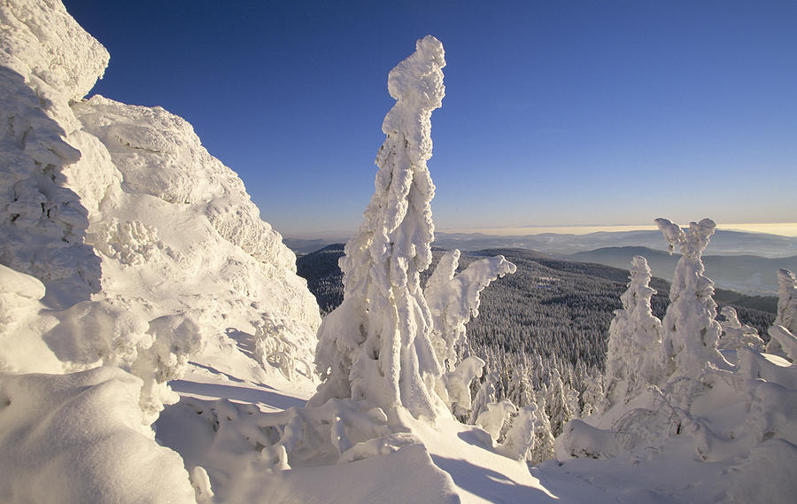 Snow covered forest, Grosser Arber, Bavarian Forest, Germany #1 Photograph by Herbert Scholpp