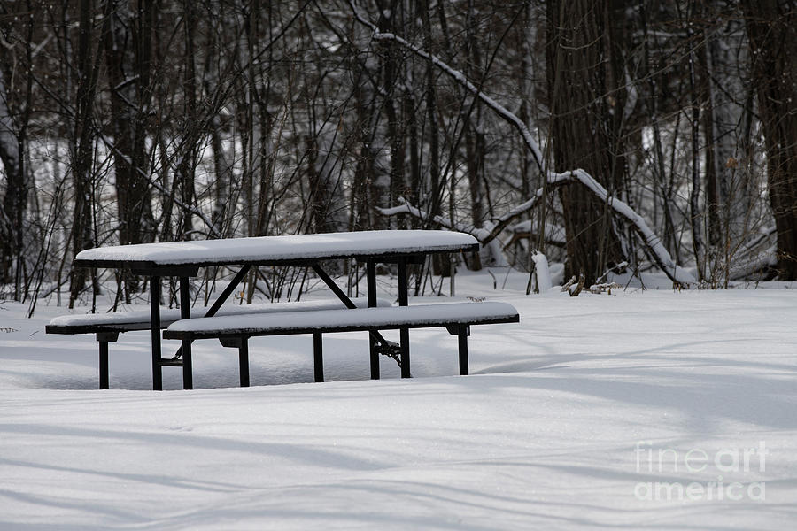 Snow Covered Picnic Table #1 Photograph by JT Lewis