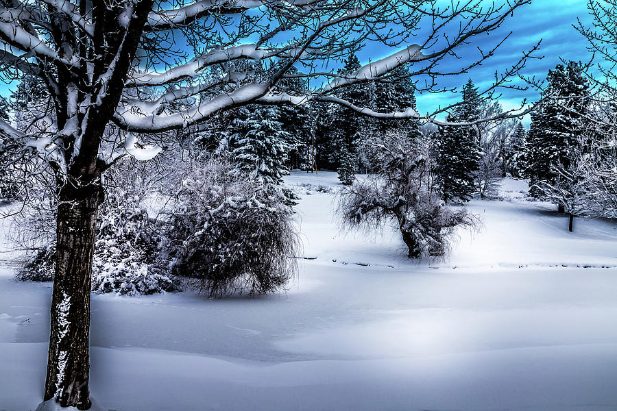 Snow Covered Pond Photograph