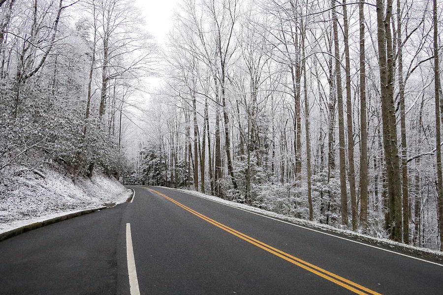 Snow in the Smokies Photograph by Melissa Traub - Fine Art America