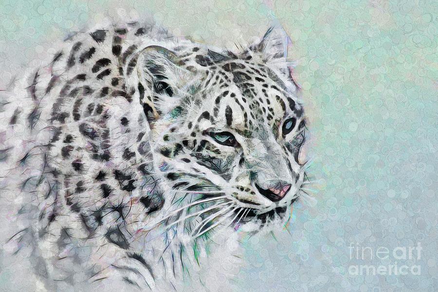 Snow Leopard Portrait #1 Digital Art by Philip Preston