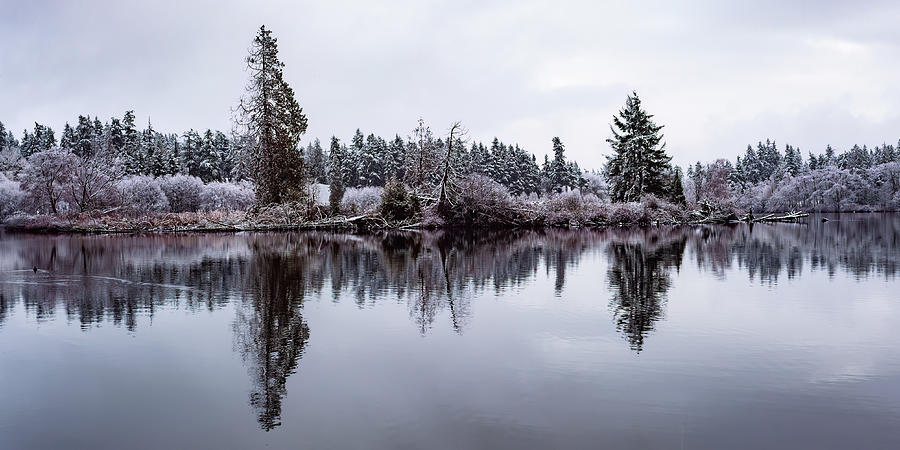 Snow on Lake Ballinger Edmonds Washington #1 Photograph by Tommy Farnsworth